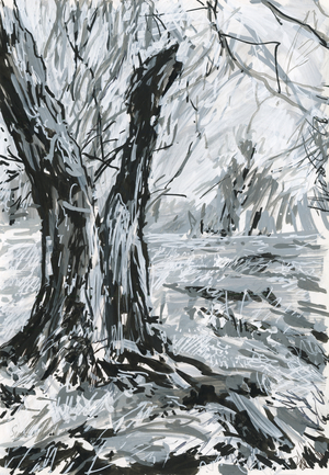 Old tree, Richmond Park (acrylic paint pens and ink on paper)