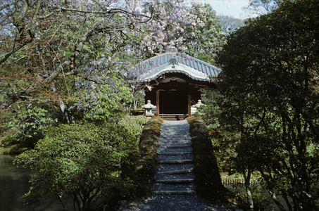 A pond in the gardens of Villa Katsura, Kyoto, Japan (photo)