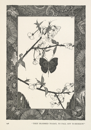 The Butterfly. They bloomed to-day, to fall off to-morrow.