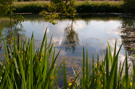 Beautiful landscape at sunset Azay le Rideau, Loire Valley, France (photo)