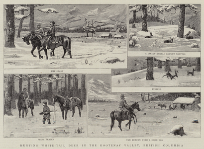 Hunting White-Tail Deer in the Kootenay Valley, British Columbia (engraving)