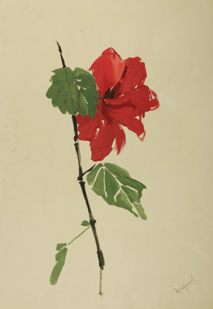 Poppy, c.1960 (tempera on paper)