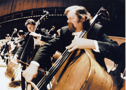 Double bass section of
