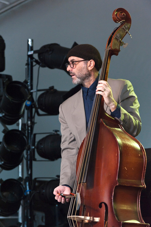 The Copper Bottom Band (David Piltch) (photo)