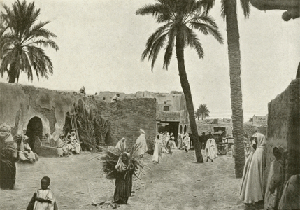 Biskra, Oasis de Sidi Okba (b/w photo)