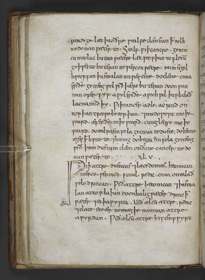 Royal MS 12 D XVII f.41v Text from a chapter beginning 'Potions and leechdoms against poison', from 'Bald's Leechbook'