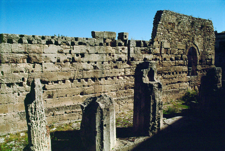Ruins of temple C, Selinunte, Sicily, Italy