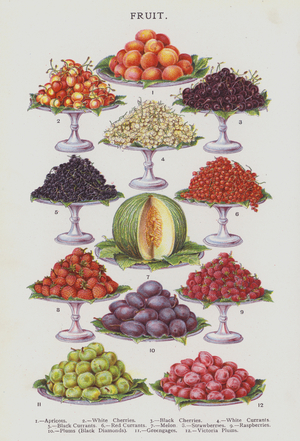 Fruit (chromolitho)