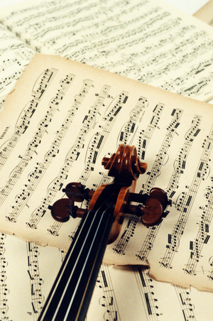 INSTRUMENTS STRING VIOLIN neck