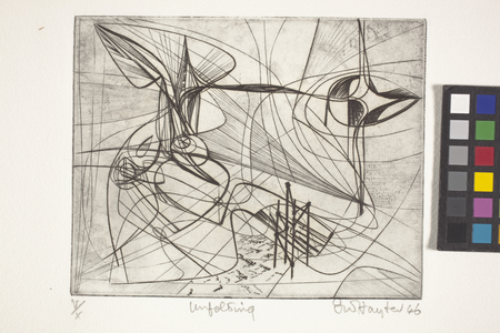 Unfolding (engraving)