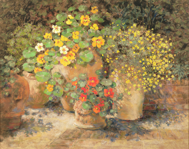Bright Flowers in Garden Pots