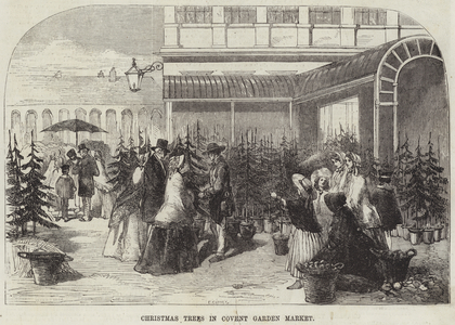Christmas Trees in Covent Garden Market (engraving)