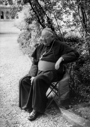 The Cardinal Maurice Feltin, Arshbishop of Paris during The Sixth French Episcopate Meeting in Paris , May 18, 1964 (b/w photo)