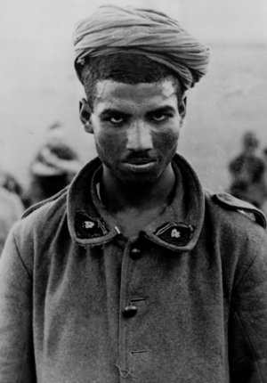 WW2 - African campaign 1943 (photo)