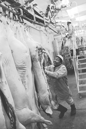 Saxony, GDR GDR History Economy, Foreign Workers Guest worker Turnaround …, 1993 (photo)