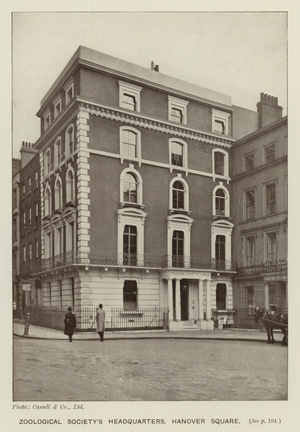 Zoological Society's Headquarters, Hanover Square (b/w photo)