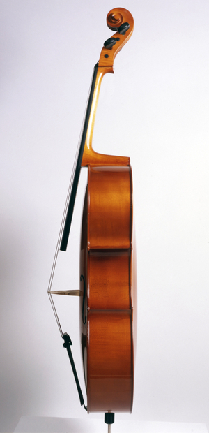 Cello - side view