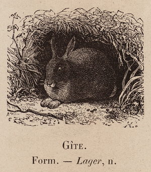Le Vocabulaire Illustre: Gite; Form; Lager (engraving)