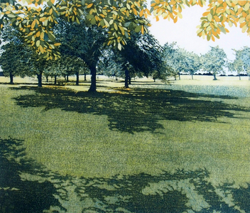 Greenshade, 1976 (etching and aquatint)