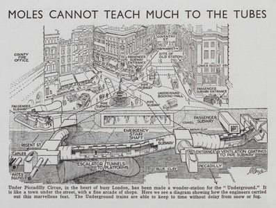 Moles cannot teach much to the Tubes (litho)