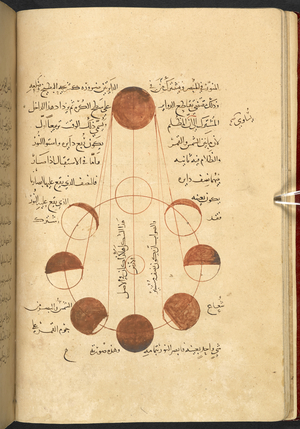 Or. 8349, f.31v, Chart, from 'Kitāb al-tafhīm li-awā’īl ṣinā‘at al-tanjīm', Comprehensive introduction to the principles of astrology by Bīrūnī, Muḥammad ibn Aḥmad, 839 (calendar: Hijri qamari era: AH), 1436 (pen & ink on paper)