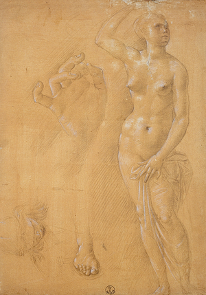 Various studies (drawings)