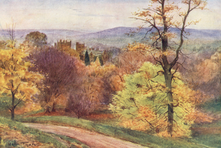 Wessex: Melbury Park (colour litho)