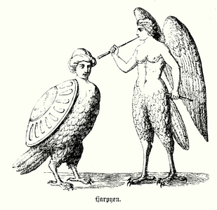 Harpies, half-human and half-bird creatures of Greek and Roman mythology (engraving)