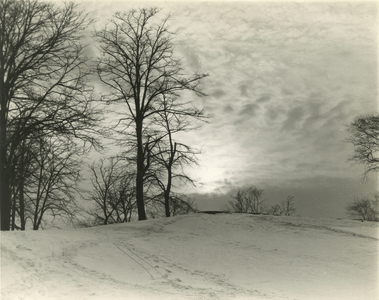 Winter in Central Park, near 69th Street, USA, c.1922 (gelatin silver photo)
