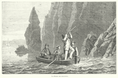 La chasse aux macareux (engraving)