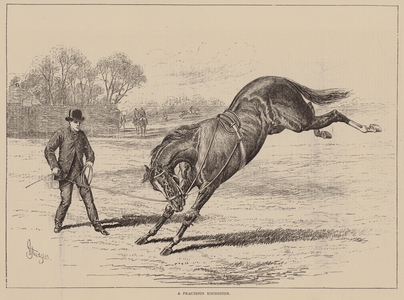 A Fractious Youngster (engraving)