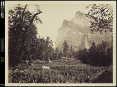 The Bridal Veil, 900 ft. Yosemite, c.1865 (albumen print from wet-collodion-on-glass negative)