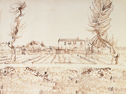Working the Fields at Arles; Laboureur dans les Champs a Arles, 1888 (reed pen and ink over pencil on paper)
