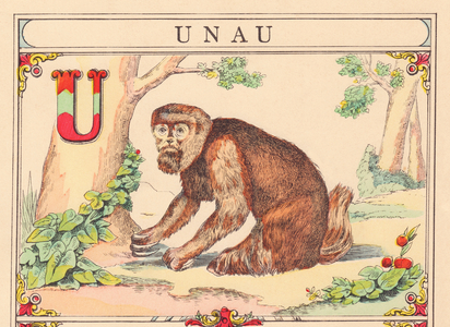 U: Unau