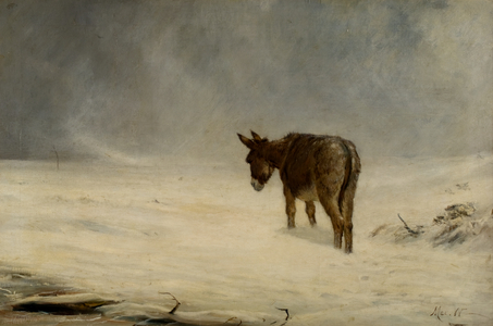 A Donkey in Snow, 19th century (oil on canvas)