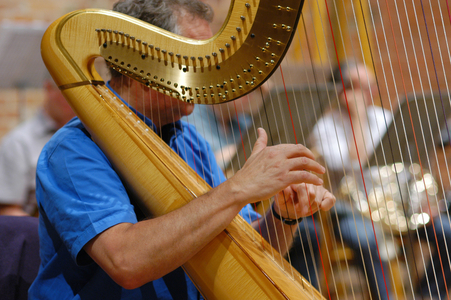 Harp and harpist City