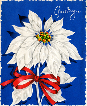 Vintage Illustration of Christmas Poinsettia, 1940s-50s (screen print)