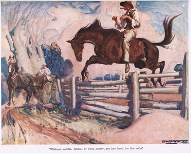Without saddle, bridle or halter (colour litho)