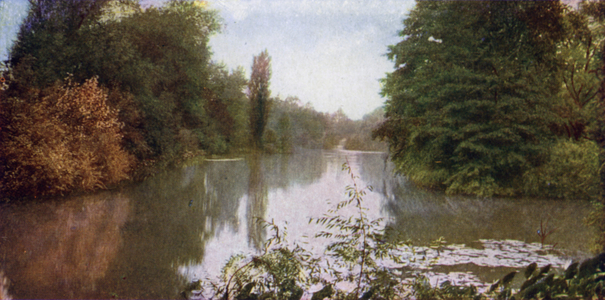 Looking over Lagoon, Washington Park (colour photo)
