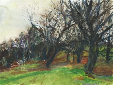 Richmond Park, 2016 (watercolour, gouache, ink, charcoal, compressed charcoal, graphite and colour pencil on paper)