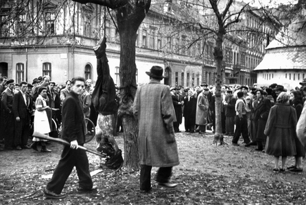 The Hungarian Revolution …, 1956 (photo)
