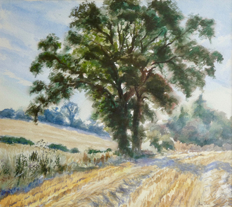 August sunrise - after the combine, 1999 (w/c)