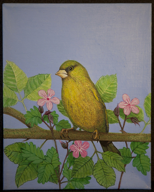 Greenfinch, 2016, (oil on canvas)