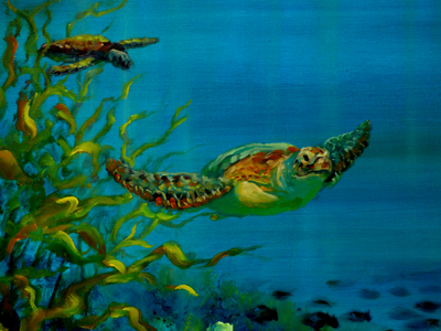 Green Turtle, 2018 (oil on canvas) Turtles swimming.