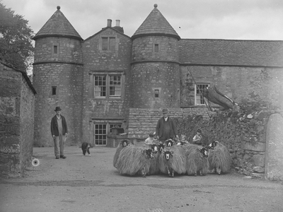 A farmer and children herd a flock of long haired sheep, buildings in the background, to the left of the image is a man and a dog, 1930s-60s (b/w photo)