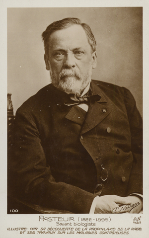 Louis Pasteur (1822-1895), French chemist and microbiologist (b/w photo)