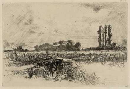 A Water Meadow, 1859 (etching)