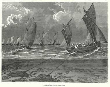 Dredging for Oysters (engraving)