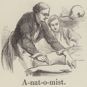 Anatomist (engraving)