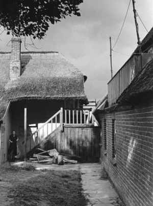 Country and people near Ahrenshoop, 1950s (photo)
